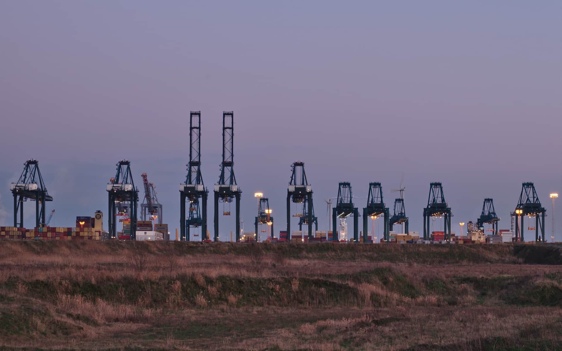 A line of container gantry cranes standing against the sky at dusk over a port terminal.