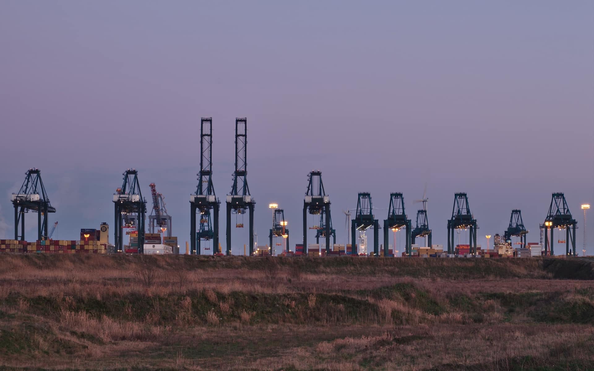 A line of container gantry cranes standing against the sky at dusk over a port terminal.